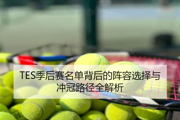 TES季后赛名单背后的阵容选择与冲冠路径全解析