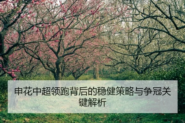 申花中超领跑背后的稳健策略与争冠关键解析