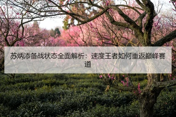 苏炳添备战状态全面解析：速度王者如何重返巅峰赛道
